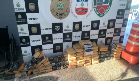 Carga de drogas é apreendida após aeronave fazer pouso de emergência na BR-174