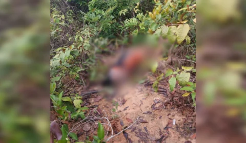 Corpo de mulher é encontrado em área de mata de Manaus