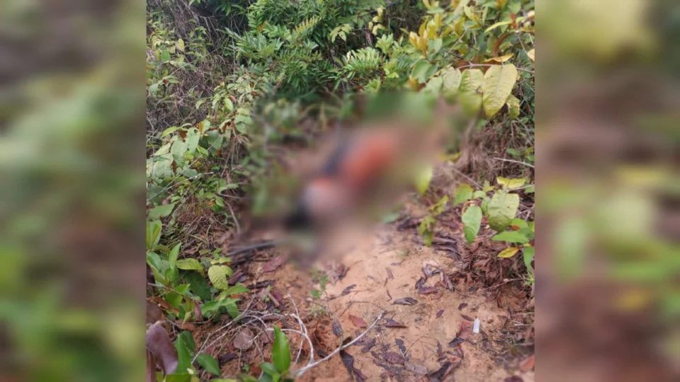 Corpo de mulher é encontrado em área de mata de Manaus