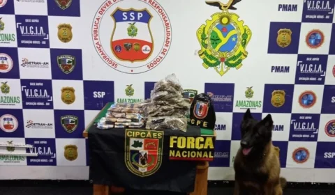 Com auxílio de cão policial, policiais apreendem 5 quilos de drogas