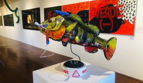 Exposição ‘Verde Amazonas’ traz sons, cores e texturas da Amazônia ao Palacete Provincial