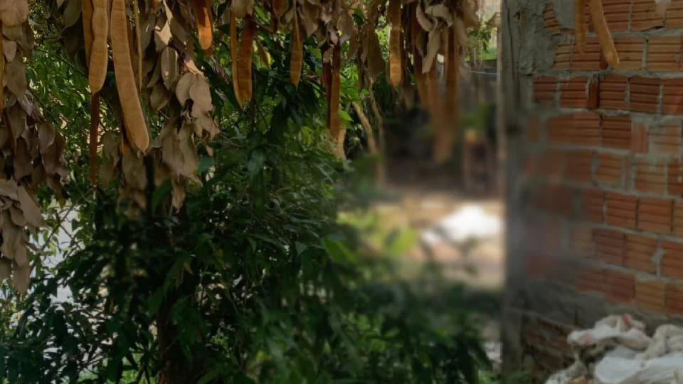 Corpo é encontrado às margens de igarapé em área nobre de Manaus