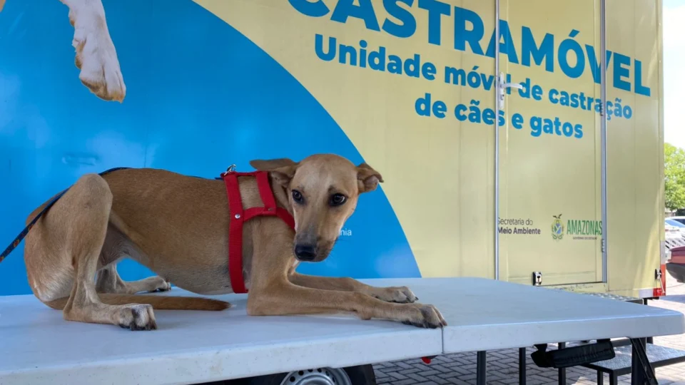 Castramóvel do Governo do Estado atinge marca de 10 mil castrações realizadas