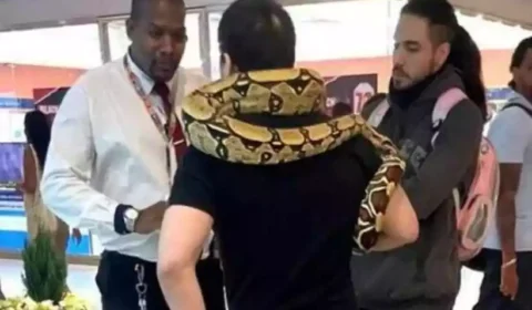 Homem é barrado em shopping por levar uma cobra para ‘passear’