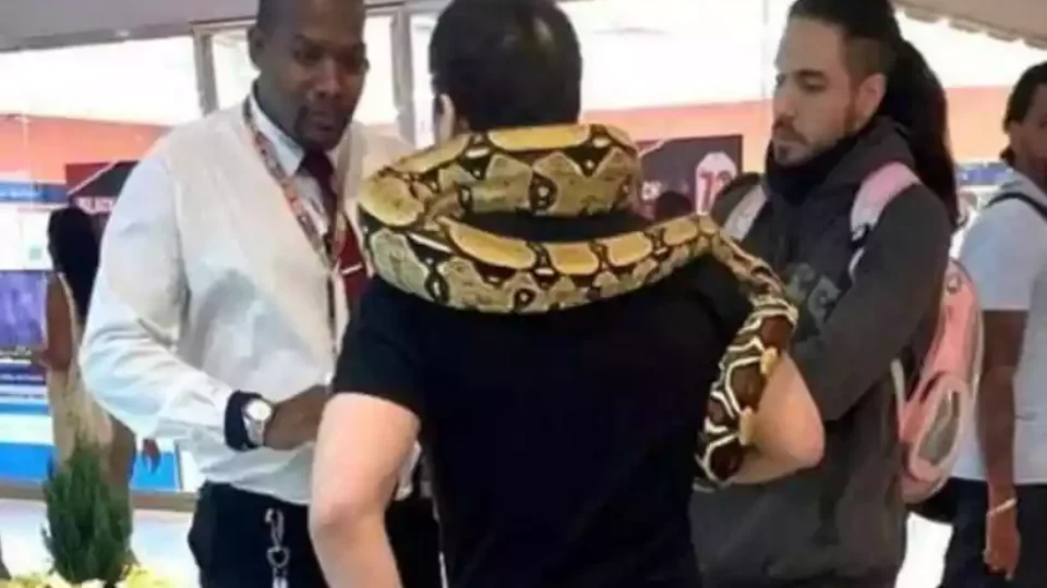 Homem é barrado em shopping por levar uma cobra para ‘passear’