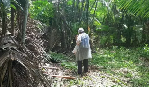 Homem é encontrado morto próximo a poço com sinais de agressão