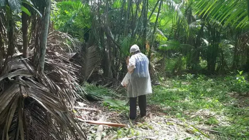 Homem é encontrado morto próximo a poço com sinais de agressão