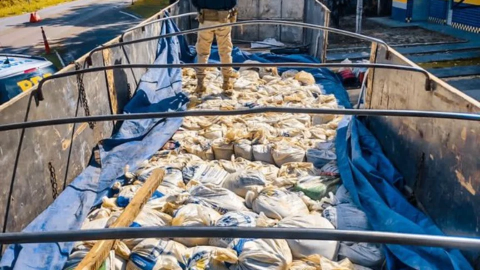 PRF apreende cerca de 10 toneladas de cassiterita na BR-174