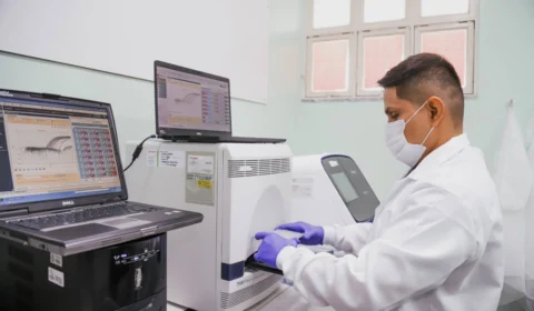 Pesquisa desenvolve novo método para diagnóstico da leishmaniose