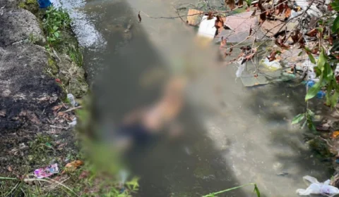 Corpo de jovem morto a facadas é encontrado em igarapé de Manaus