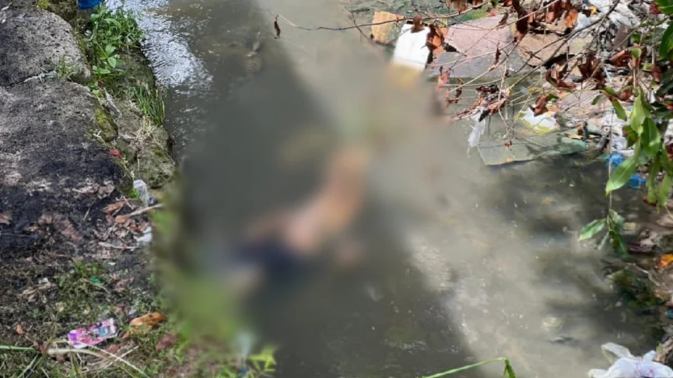 Corpo de jovem morto a facadas é encontrado em igarapé de Manaus