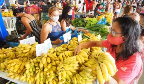Feiras de produtos regionais entrarão em recesso de fim de ano; confira calendário