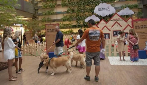 Acontece neste domingo a 4°edição de ‘Um dia bom pra cachorro’, especial de Natal