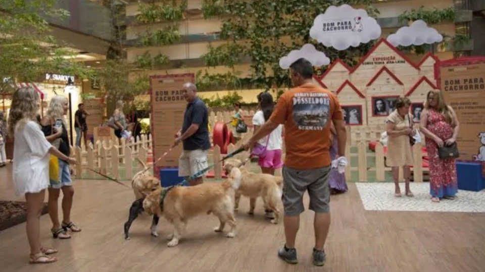 Acontece neste domingo a 4°edição de ‘Um dia bom pra cachorro’, especial de Natal