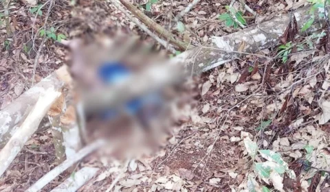 Corpo com sinais de execução é encontrado em ramal