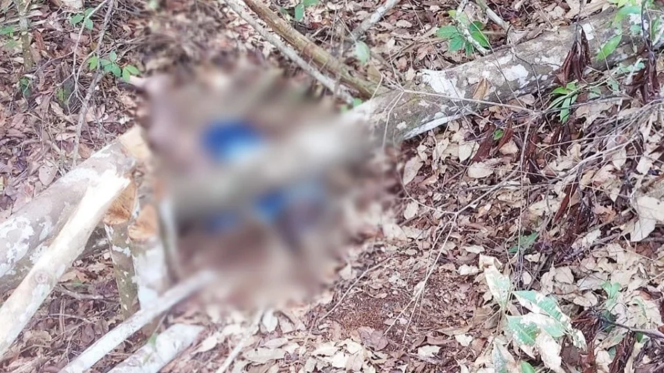 Corpo com sinais de execução é encontrado em ramal