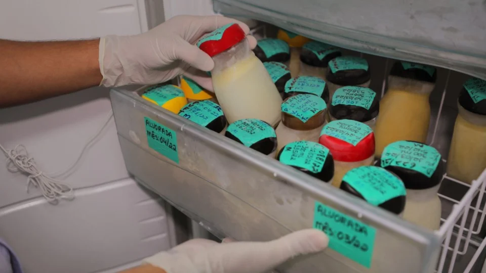 Maternidade Balbina Mestrinho realiza Campanha Natalina de Doação de Leite