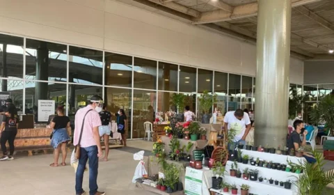 Feira reúne expositores, shows musicais e concurso de cosplay no Shopping de Manaus