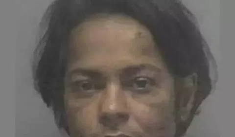 Babá brasileira é acusada de agredir criança nos EUA