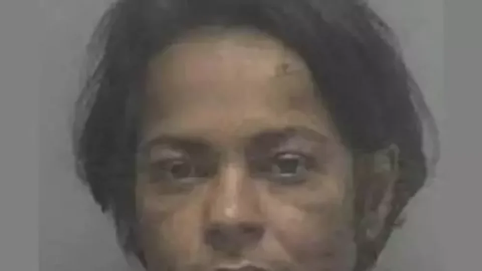 Babá brasileira é acusada de agredir criança nos EUA