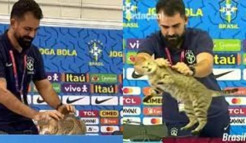 Gato invade mesa da coletiva de Vinícius Júnior no Catar e é arremessado para fora