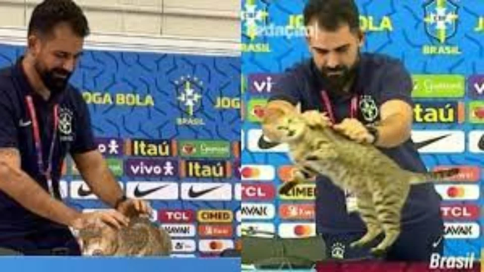Gato invade mesa da coletiva de Vinícius Júnior no Catar e é arremessado para fora