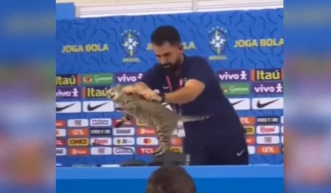 Ação contra CBF pede multa de R$ 1 milhão por maus-tratos contra gato durante coletiva