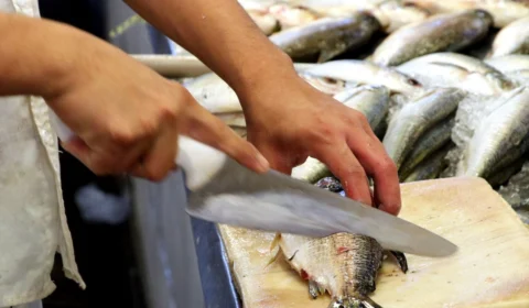 Amazonas tem 119 casos de Doença de Haff