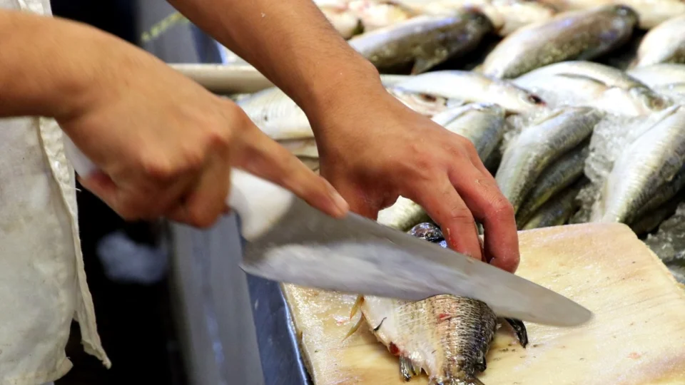 Amazonas tem 119 casos de Doença de Haff