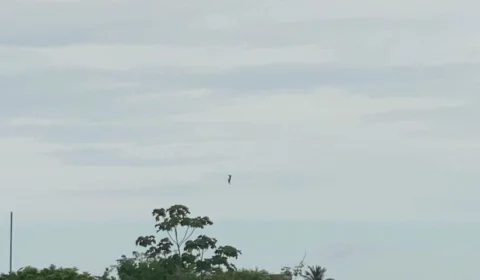 Vídeo mostra momento em que paraquedas não abre e homem despenca em queda livre, em Manaus