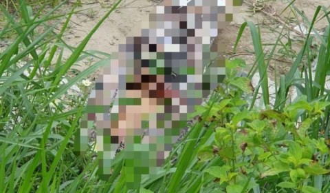 Corpo é encontrado em terreno baldio na zona Norte de Manaus