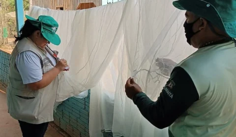 Amazonas fecha 2022 com menor número de casos de malária