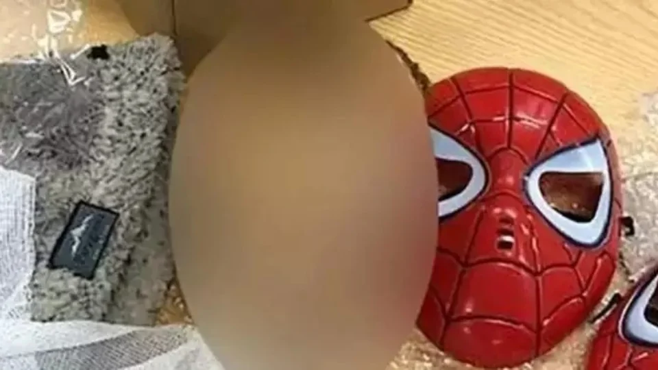 Cabeça decapitada é achada em pacote enviado pelo correio