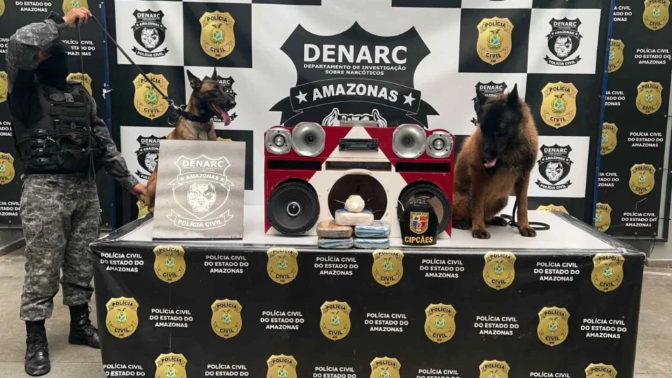 Cargas de maconha e cocaína são encontradas em caixa de som no Porto de Manaus