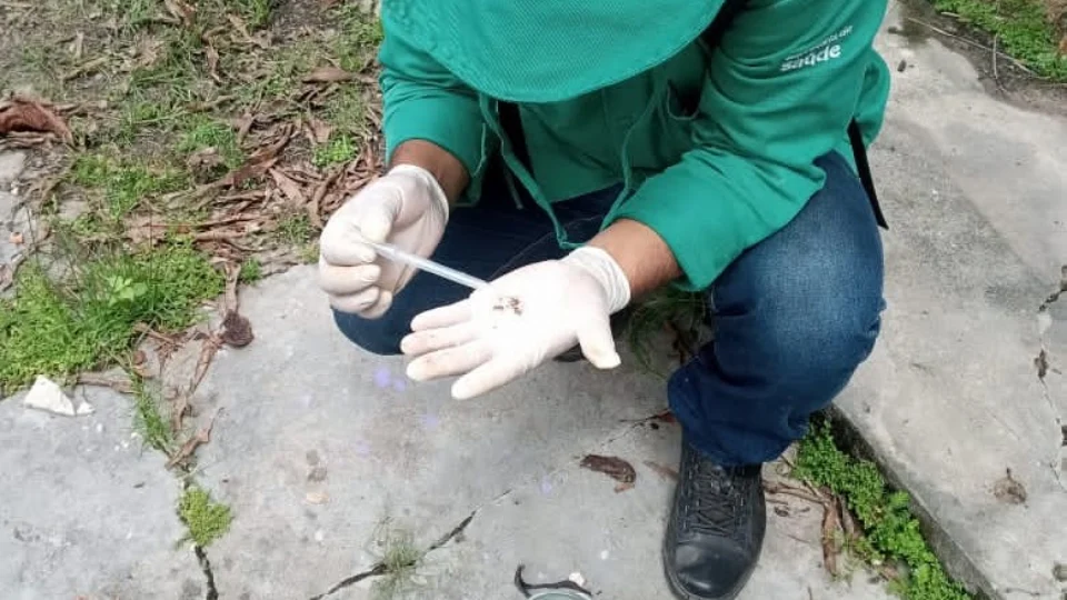 Amazonas atualiza cenário da dengue em informativo epidemiológico nesta quinta-feira