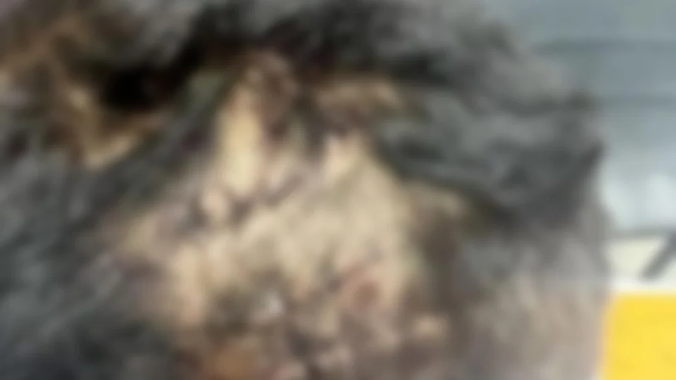 Polícia Civil do Amazonas revela detalhes sobre agressão a criança de 6 anos