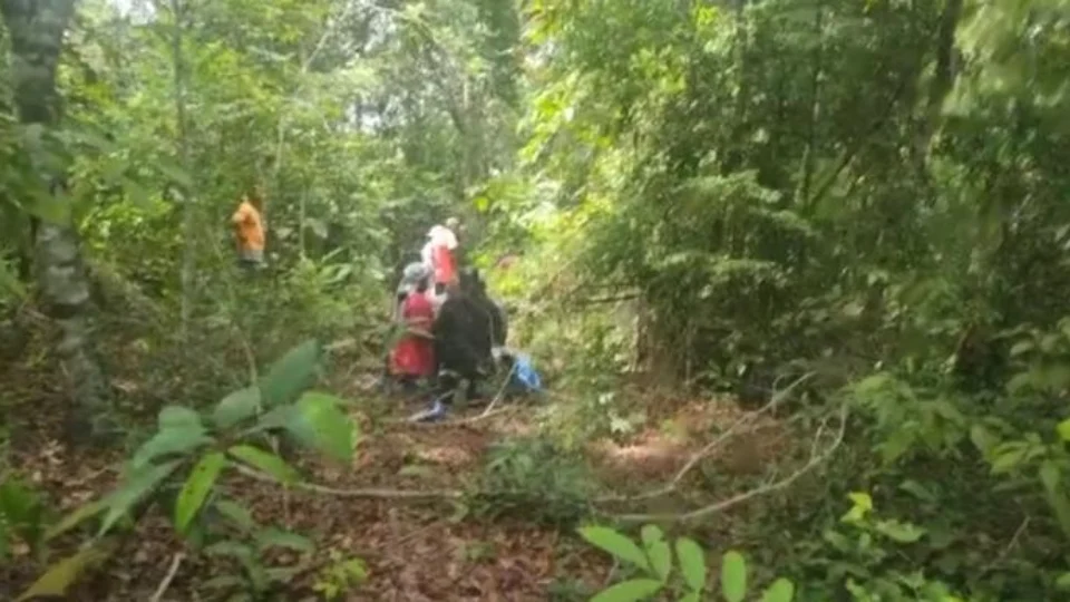 Corpo é encontrado em área de mata durante buscas por jovem desaparecido