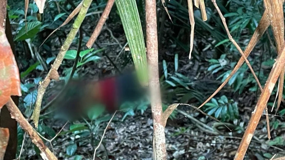 Professora que estava desaparecida é encontrada morta nos fundos de residência