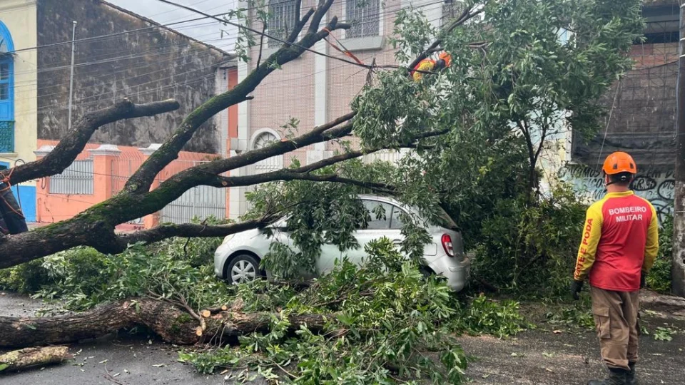 Árvore cai em cima de carro na rua Lima Bacurí, no Centro