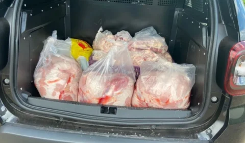 Abatedouro clandestino misturava carne de porco e de cavalo para vender aos clientes