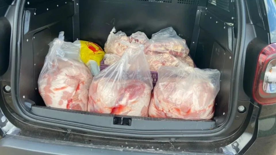 Abatedouro clandestino misturava carne de porco e de cavalo para vender aos clientes