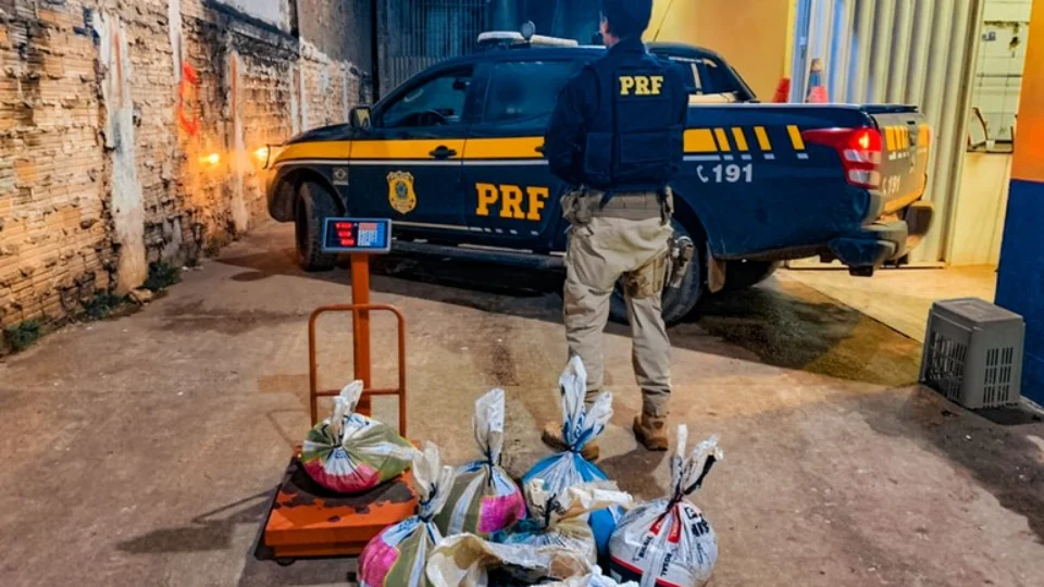 PRF-AM apreende mais de 350kg de cassiterita em Humaitá