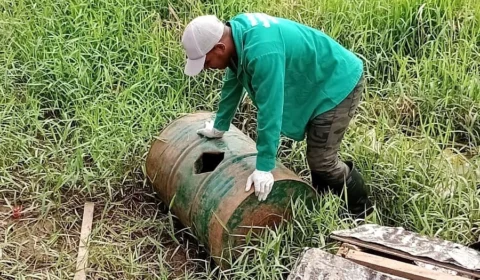 <em>Dengue: Informe epidemiológico divulga cenário atualizado da doença no Amazonas, nesta quinta-feira</em>