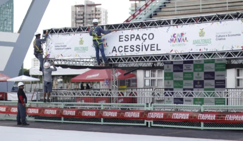 <em>Carnaval na Floresta: Espaço PcD está disponível no Carnaboi de Manaus</em>