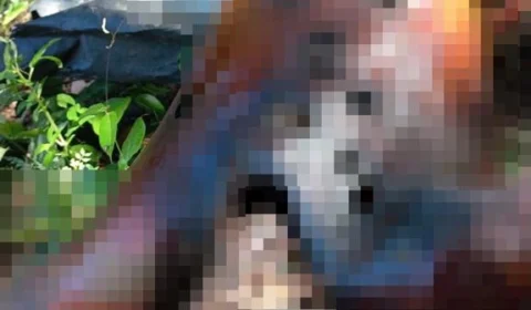 Corpo é encontrado em ramal em estado de decomposição