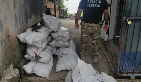 Em uma operação no rio Solimões PF apreende 1 tonelada de pescado de ilegal