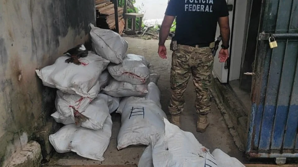 Em uma operação no rio Solimões PF apreende 1 tonelada de pescado de ilegal