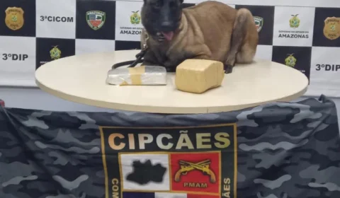 Polícia Militar apreende entorpecentes em embarcação no Centro de Manaus