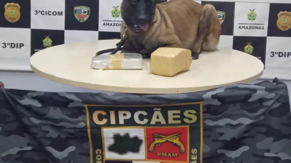 Polícia Militar apreende entorpecentes em embarcação no Centro de Manaus