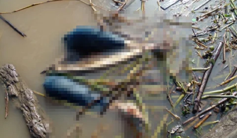 Corpo de jovem é encontrado devorado por animais no Rio Solimões